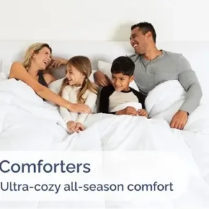 Queen bed sheets Egyptian Cotton